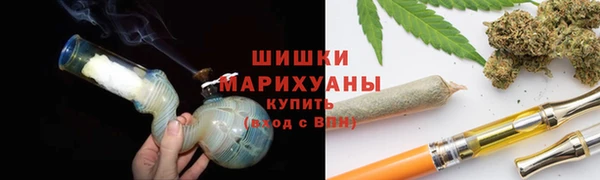 PSILOCYBIN Вязьма